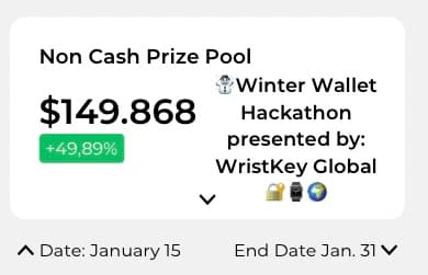 Winter Wallet Hackathon banner
